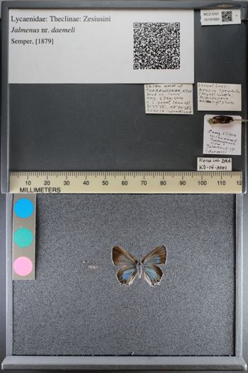 Media type: image;   Entomology 197889